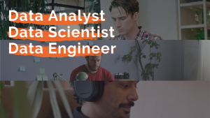 analyst-scientist-engineer