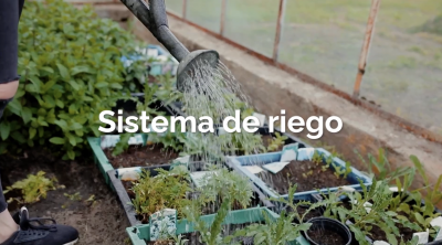 sistema de riego